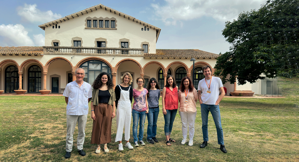 Menendez grup. Research group photo